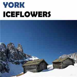 York - Iceflowers