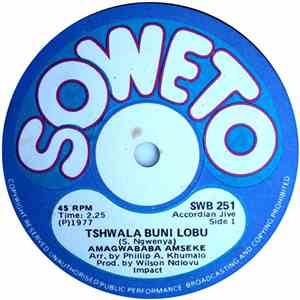 Amagwababa Amseke - Tshwala Buni Lobu / Thathezakho