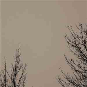 Darren Harper - Autumnal Fragments & Sketches