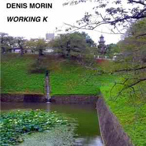 Denis Morin - Working K