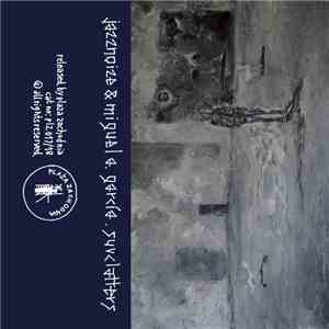 Jazznoize & Miguel A. García - Suvclatters