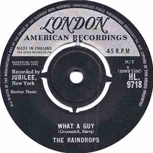 The Raindrops - What A Guy
