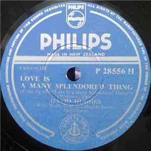 David Hughes - Love Is A Many Splendored Thing / True Love