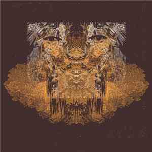 Decimus - Decimus #11