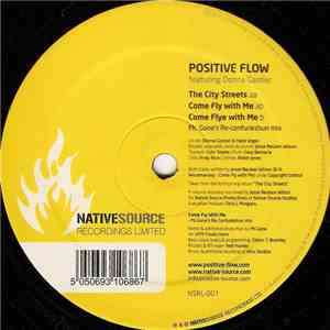 Positive Flow Featuring Donna Gardier - The City Streets