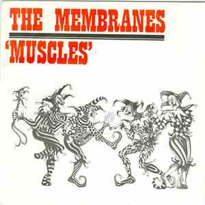 The Membranes - Muscles