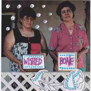 Wished Bone - Pseudio Recordings
