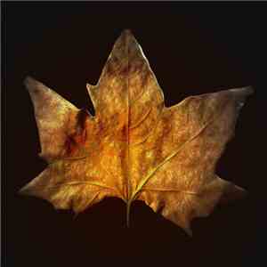 BeStrass - The Seasons