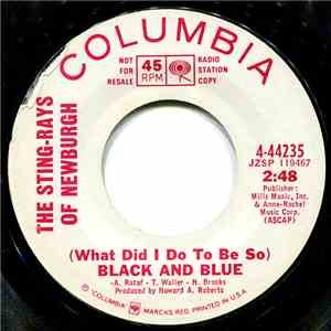 The Sting-Rays Of Newburgh - (What Did I Do To Be So) Black And Blue