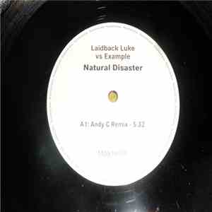 Laidback Luke vs Example - Natural Disaster (Remixes)