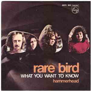 Rare Bird - What You Want To Know / Hammerhead