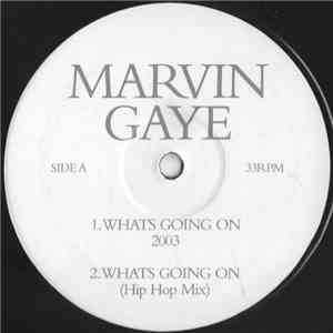Marvin Gaye - What's Going On 2003