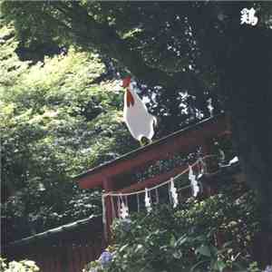 Merzbow - Niwatori: 13 Japanese Birds Pt. 10