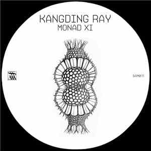 Kangding Ray - Monad XI