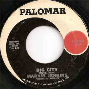 Marvin Jenkins - Big City