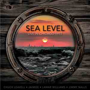 Sea Level - Live In Chicago 1977 (Ivanhoe Theater, Chicago, Il. 2nd July 19 ...