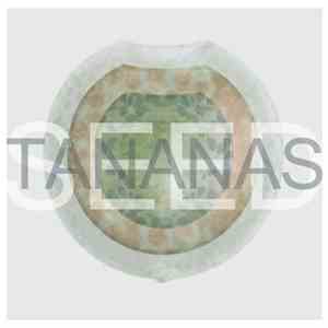 Tananas - Seed