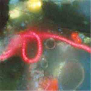 Various - Mothballs (Vol 2)