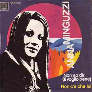 Anna Minguzzi - Non So Dir (Ti Voglio Bene)