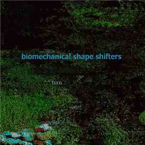Biomechanical Shapeshifters - turn