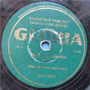 Ländlerkapelle Huserbuebe - Stimmungs-Ländler / Schwyzerörgeli-Polka