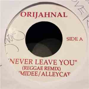 Lumidee /  Alley Cat  - Never Leave You / Overcast