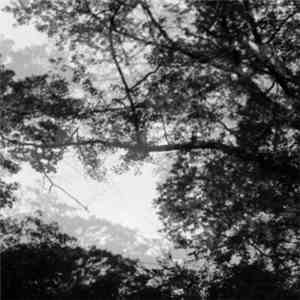 Motion Sickness Of Time Travel - A Forest Aching Cold