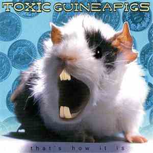 Toxic Guineapigs - That's How It Is