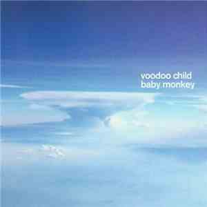 Voodoo Child - Baby Monkey