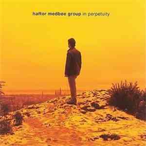 Haftor Medbøe Group - In Perpetuity
