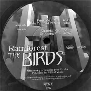 Rainforest - The Birds