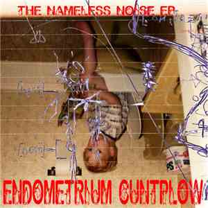 endometrium cuntplow - The Nameless Noise EP
