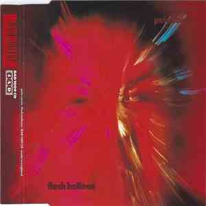 Pale Saints - Flesh Balloon