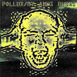 Pollux  & My Anus Burns - Split