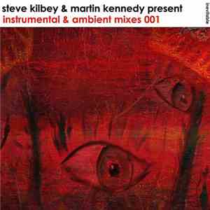 Steve Kilbey & Martin Kennedy - Present - Instrumental & Ambient Mixes 001