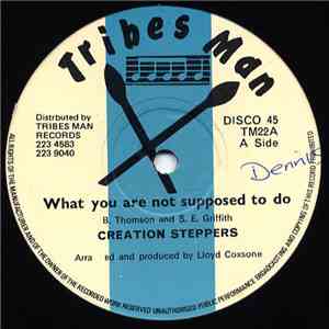 Creation Steppers - What You Are Not Supposed To Do