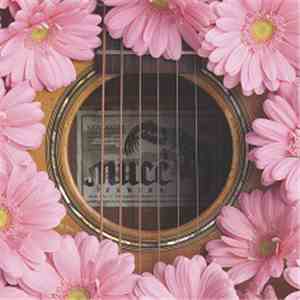 MUCC - Gerbera