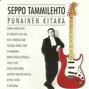 Seppo Tammilehto - Punainen Kitara