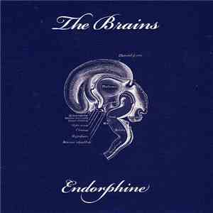 The Brains  - Endorphine