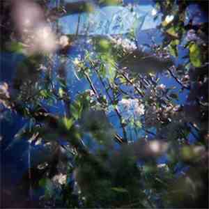 Transcendental Rodeo - Plays & Sings: The Magic Garden / Le Jardin Magique