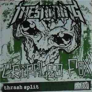 Crippled Fox / The Shining  - Thrash Split