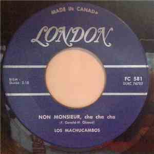 Los Machucambos - Non Monsieur