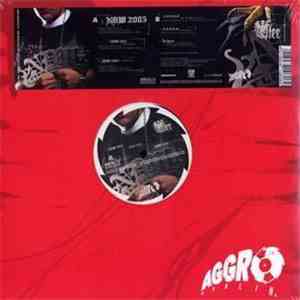 Fler - NDW 2005