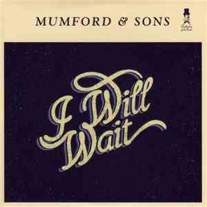 Mumford & Sons - I Will Wait