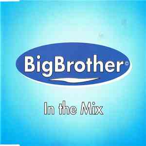Various - Big Brother In The Mix