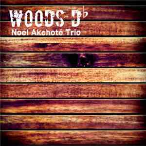 Noël Akchoté Trio - Woods D-Flat