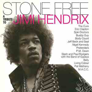 Various - Stone Free (A Tribute To Jimi Hendrix)
