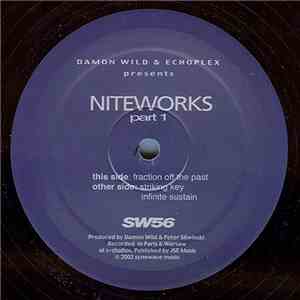 Damon Wild & Echoplex - Niteworks Pt. 1
