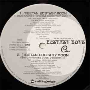 Ecstasy Boys - Nirvana Sexy
