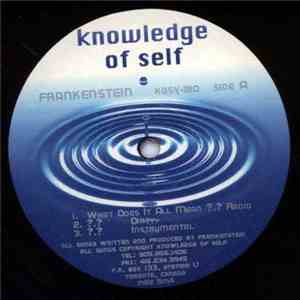 Frankenstein - What Does It All Mean / The Pain Remixx